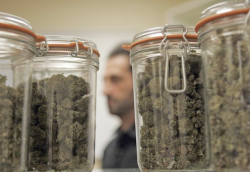 Atwater Village’s L.A. Collective is one of five medical marijuana stores on Glendale Boulevard that filed for hardship exemptions with the City Council. More than 600 such outlets are currently operating in Los Angeles.